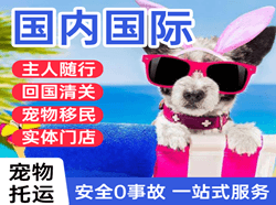 锦州机场邮寄国际宠物托运 【国